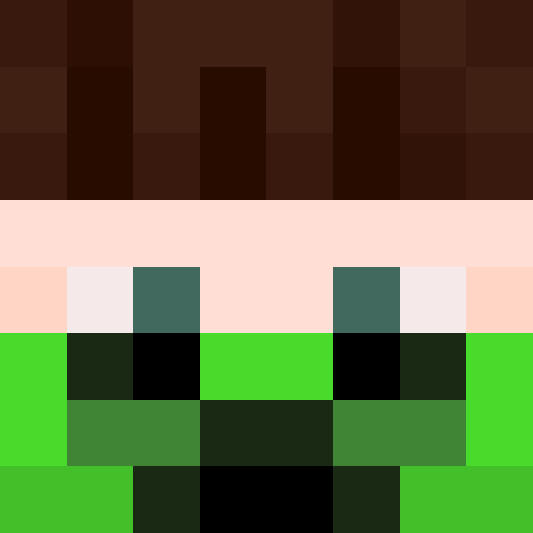 PtakopyskCZ's skin