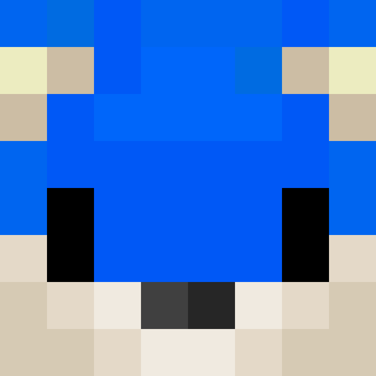 8aca680b22461340's skin
