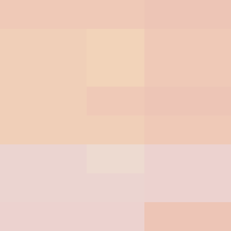IAmSpadeFan's skin