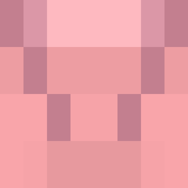 deminecrafterlol's skin