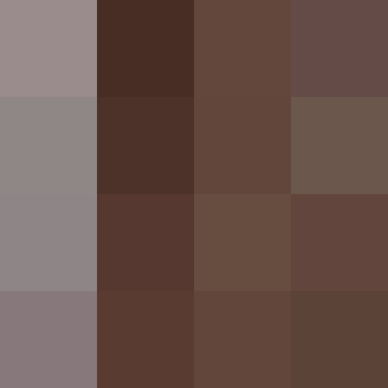 XenokratesRitva's skin