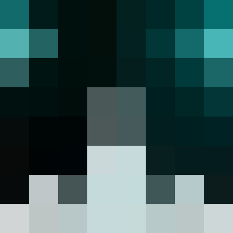 BukkitAPI's skin