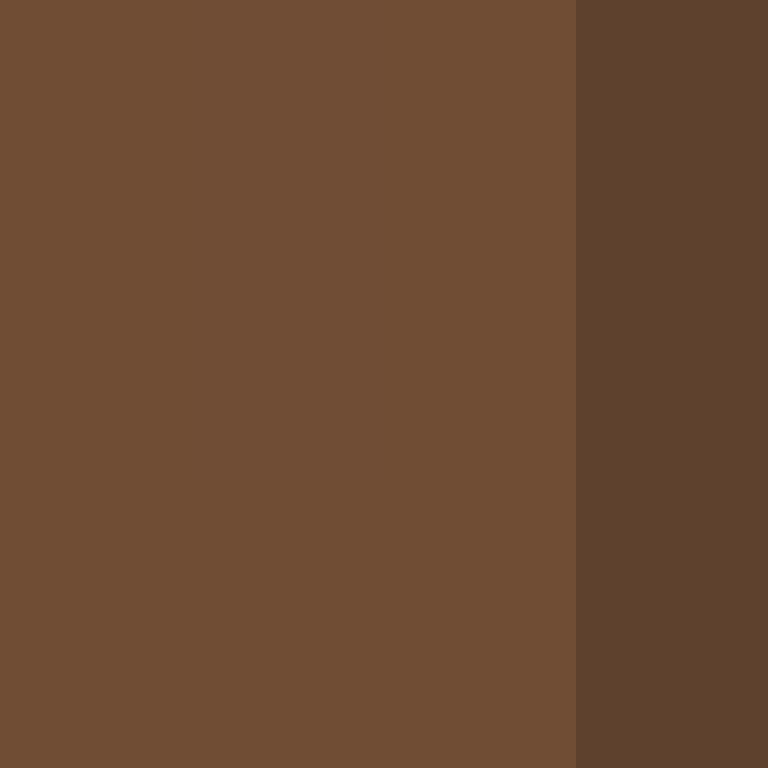BukkitAPI's skin