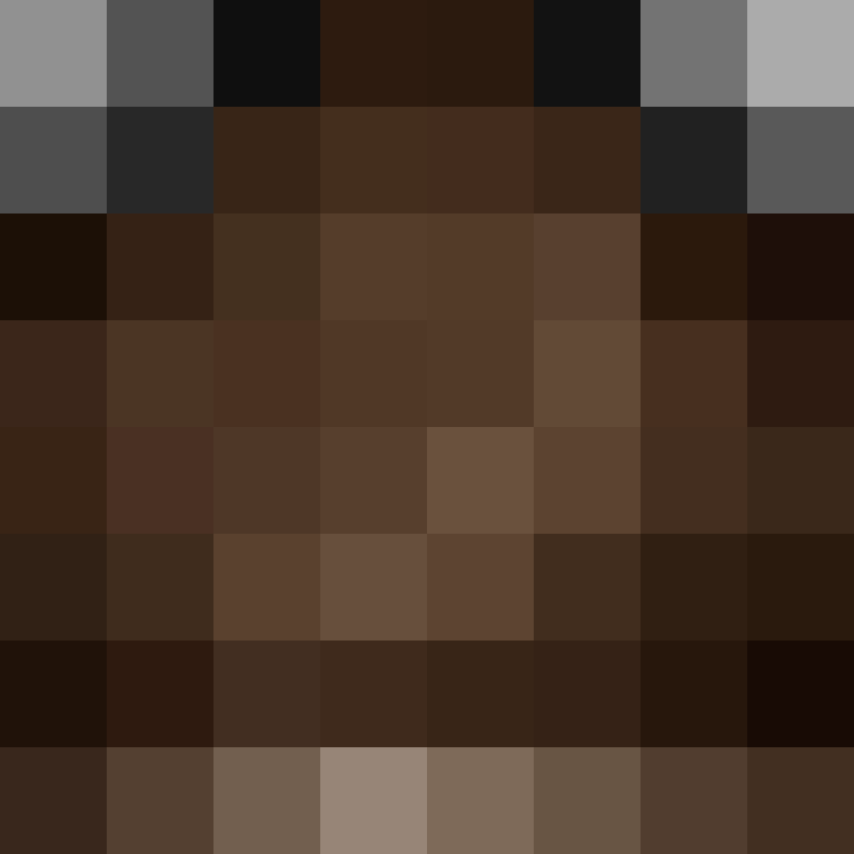 CeilingBird's skin