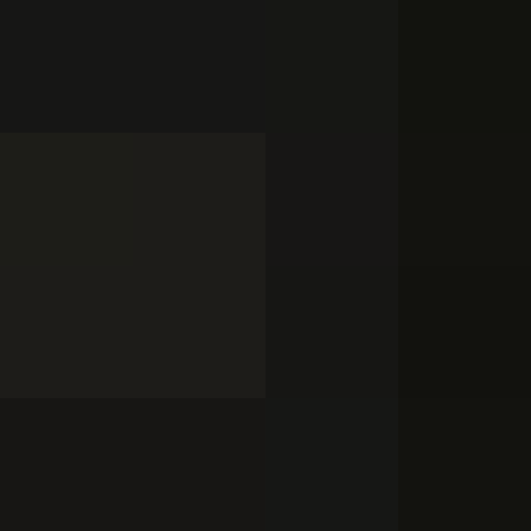 acin5's skin