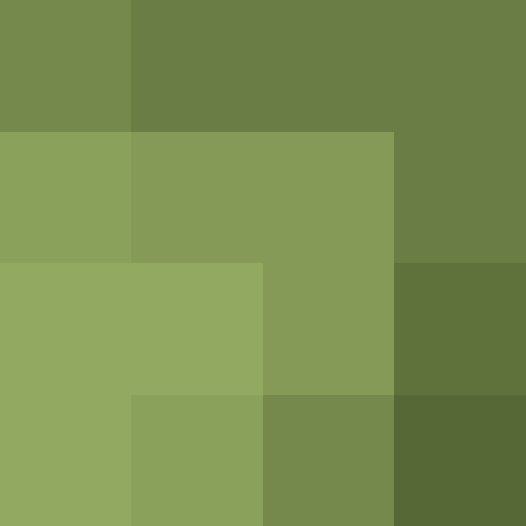 Cartizoll's skin