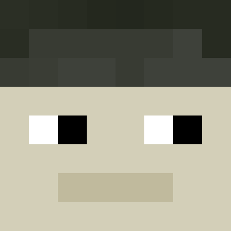 xX_No_Income_Xx's skin