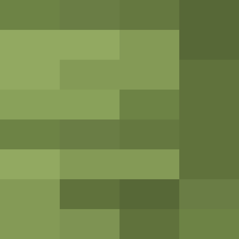 TheCuriousMiner's skin