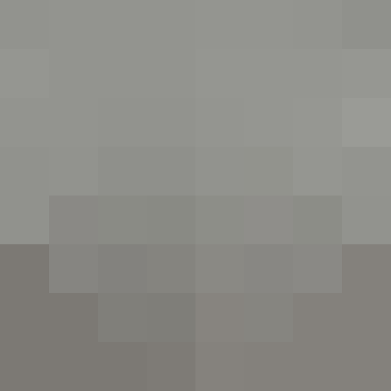 CeilingBird's skin