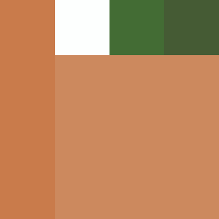 ShakaYami's skin