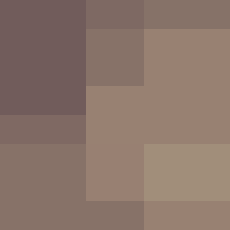 AutoSkin's skin