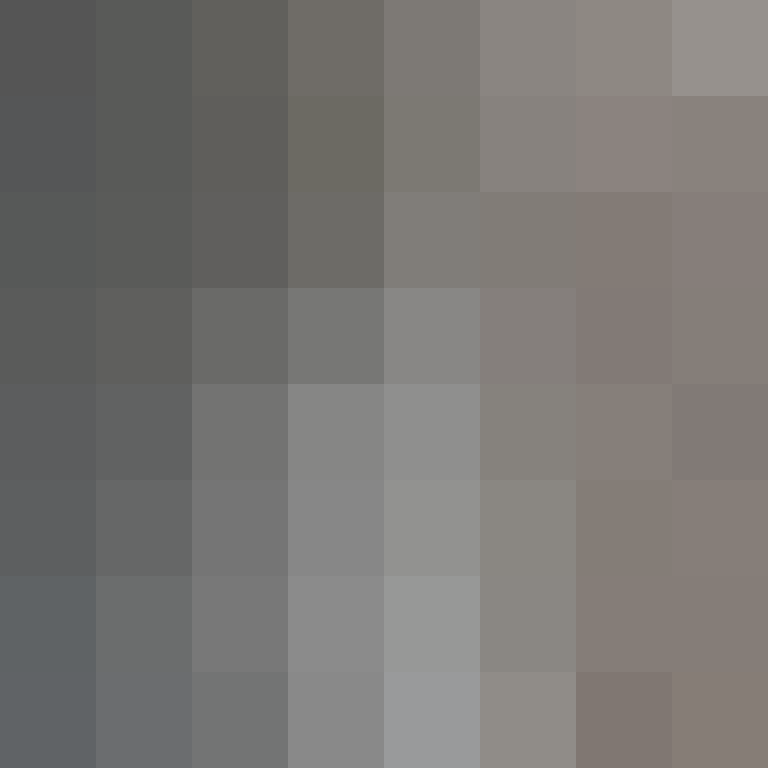 acin5's skin