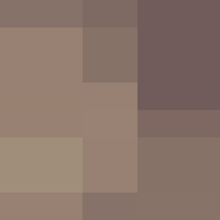v4r1n's skin