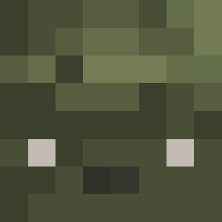BukkitAPI's skin