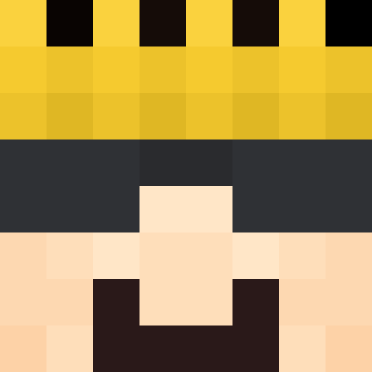 CeilingBird's skin