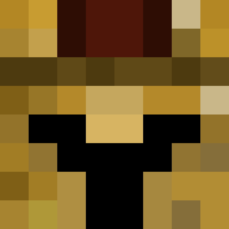 nocllitty's skin