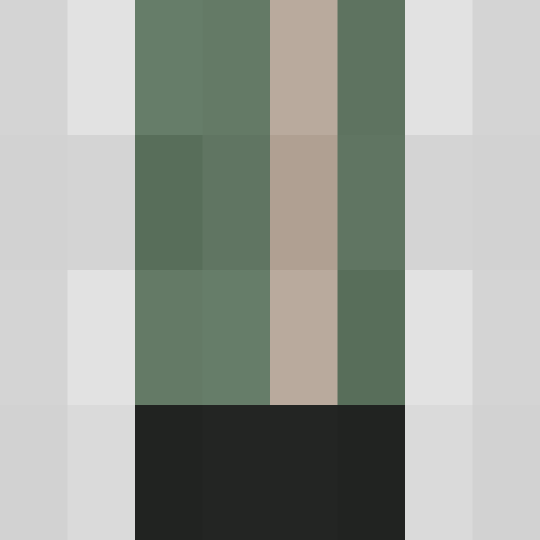 dragloner's skin