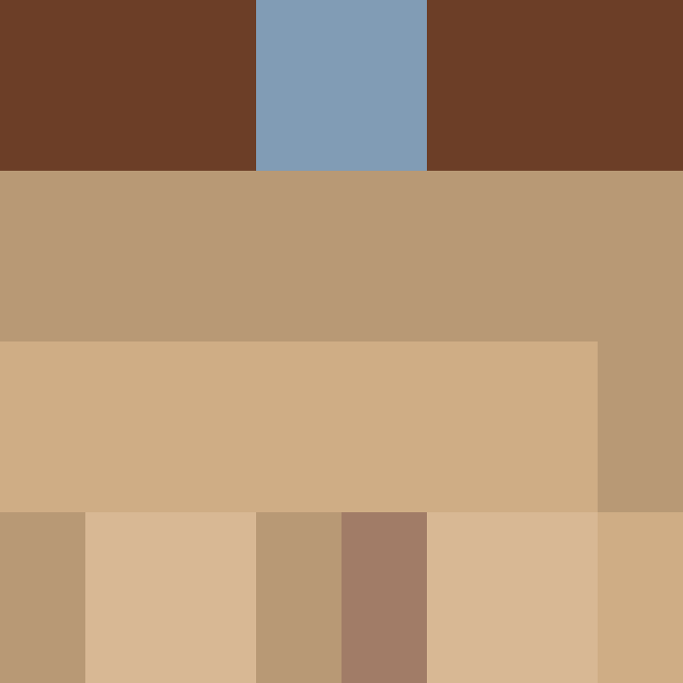 IAmSpadeFan's skin