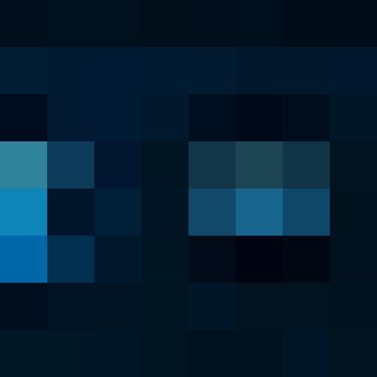 CeilingBird's skin