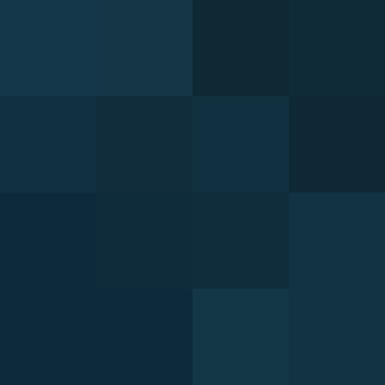 8aca680b22461340's skin