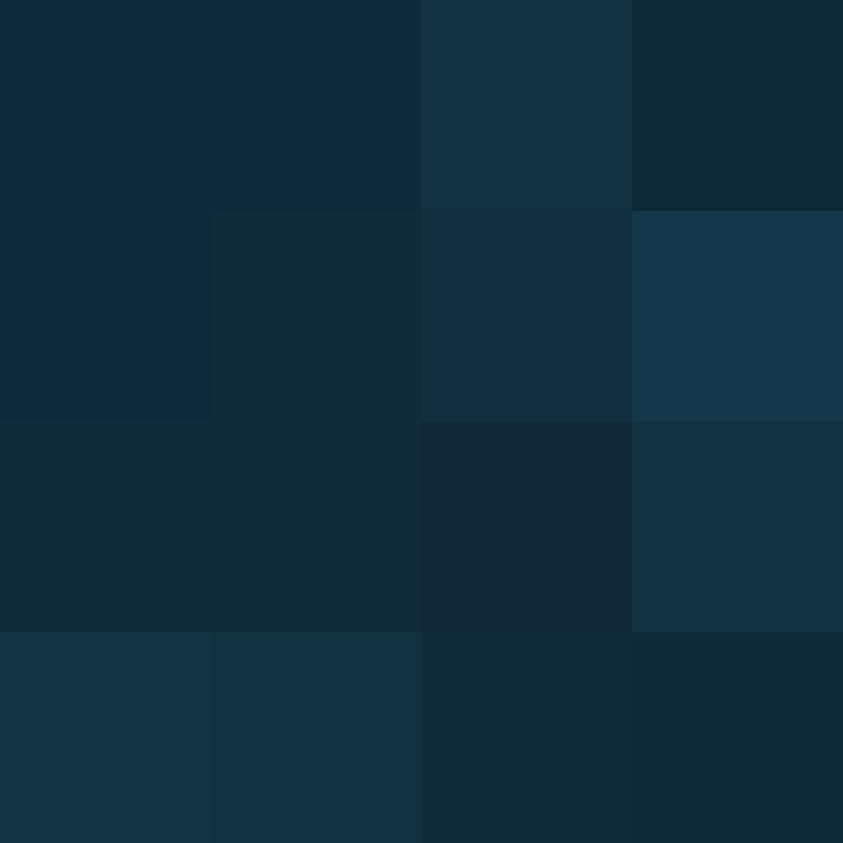 deminecrafterlol's skin