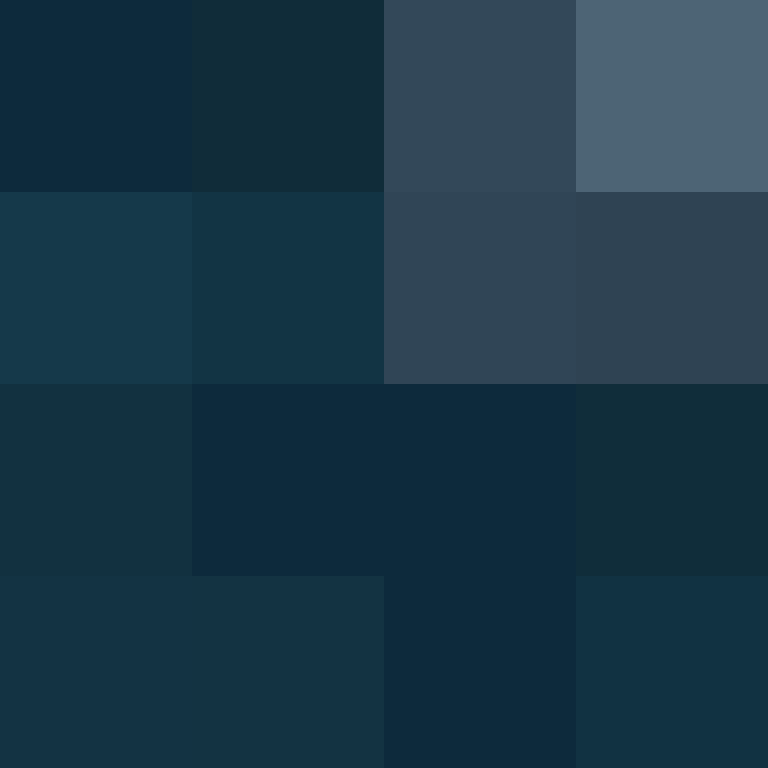 xentany's skin