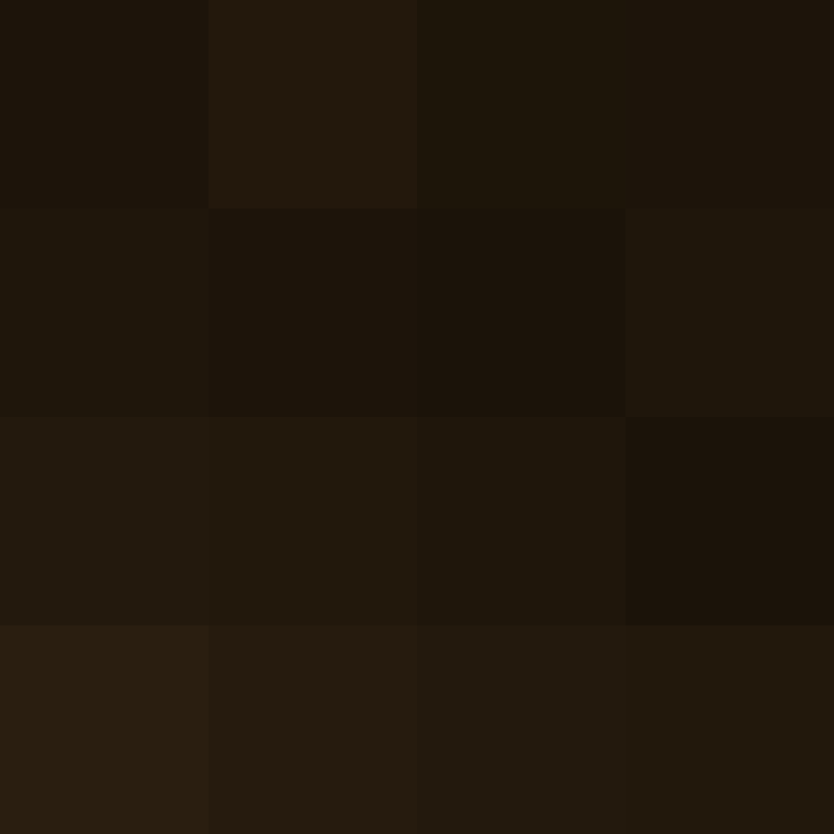 Cartizoll's skin