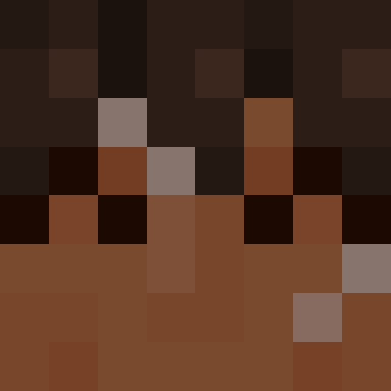 BukkitAPI's skin