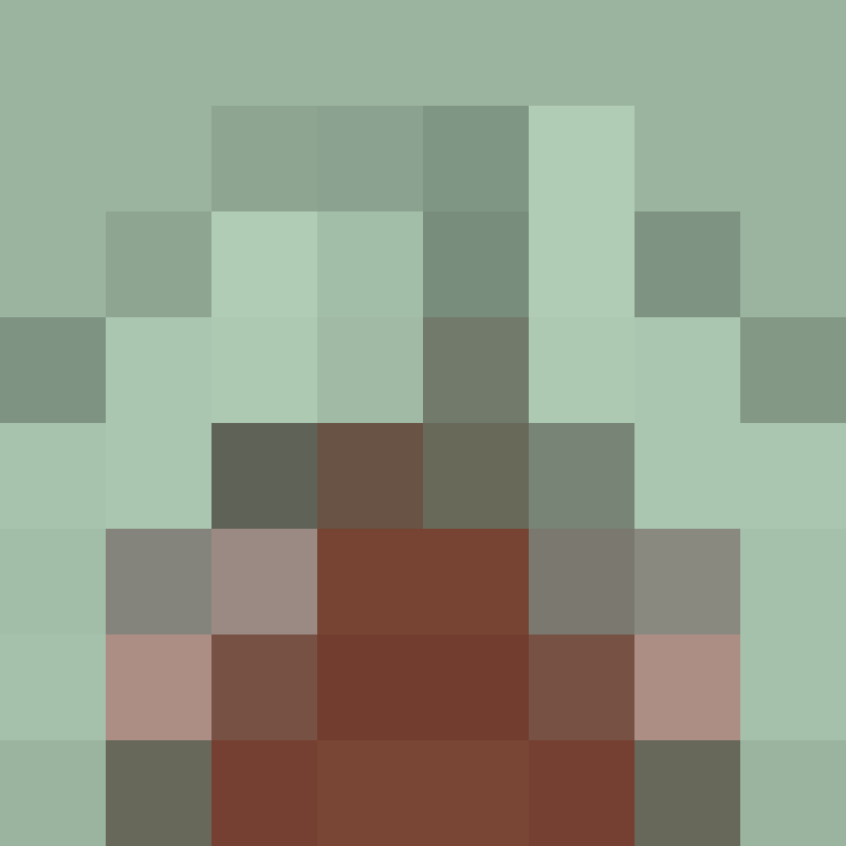 deminecrafterlol's skin