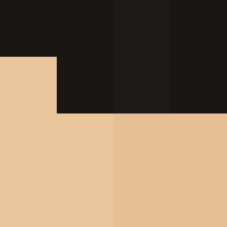 TheCuriousMiner's skin