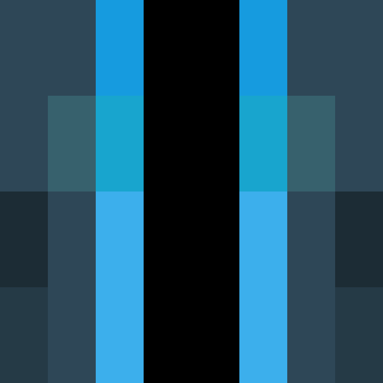 CeilingBird's skin