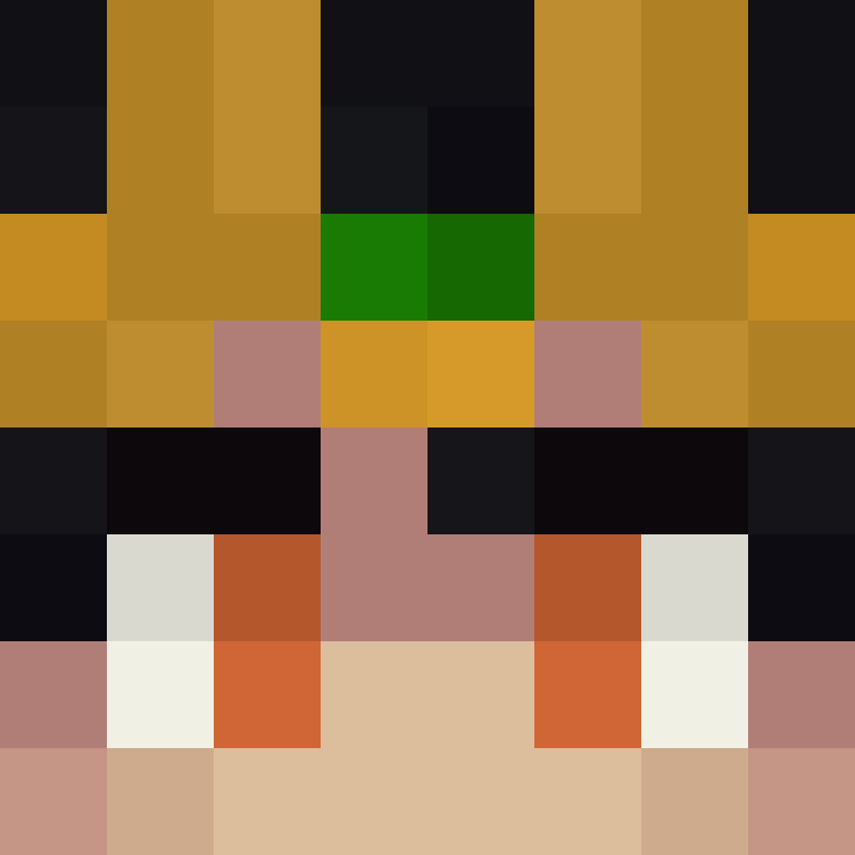 h4yl33's skin