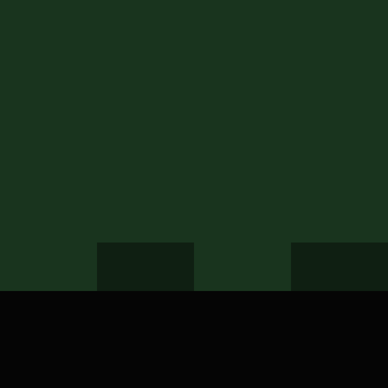 41414141h's skin