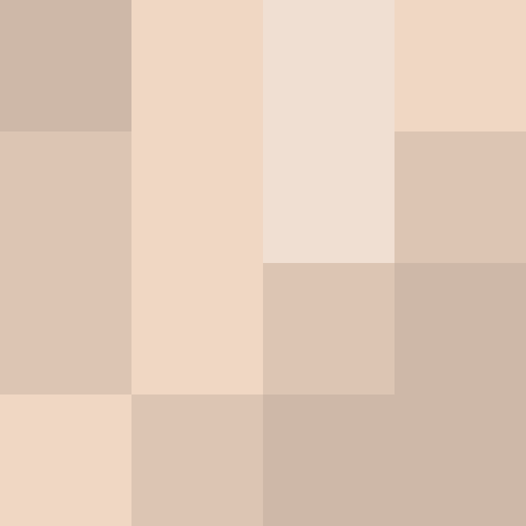 hpyef's skin