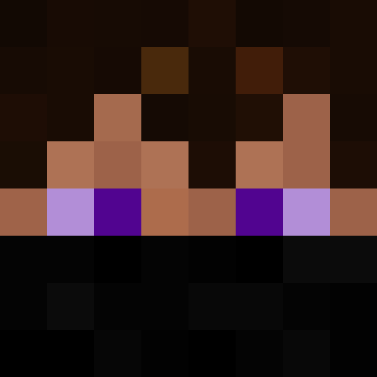 8aca680b22461340's skin