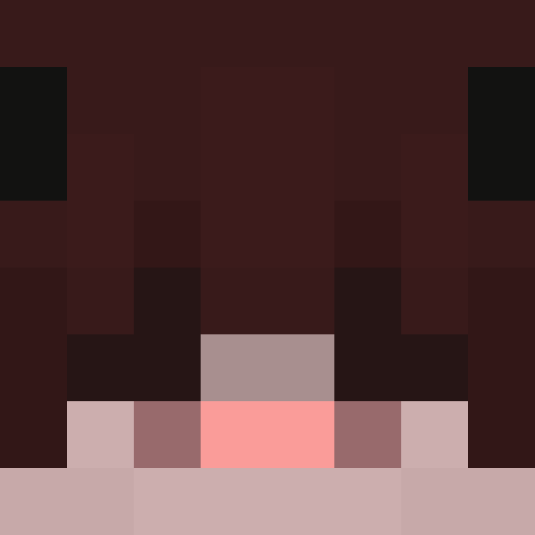 wiredframe's skin