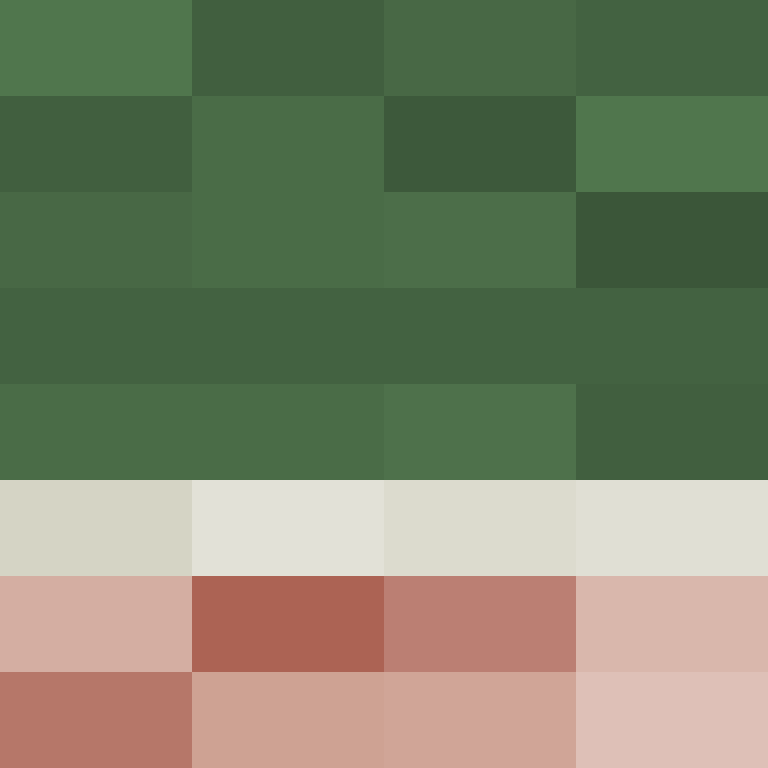 BukkitAPI's skin