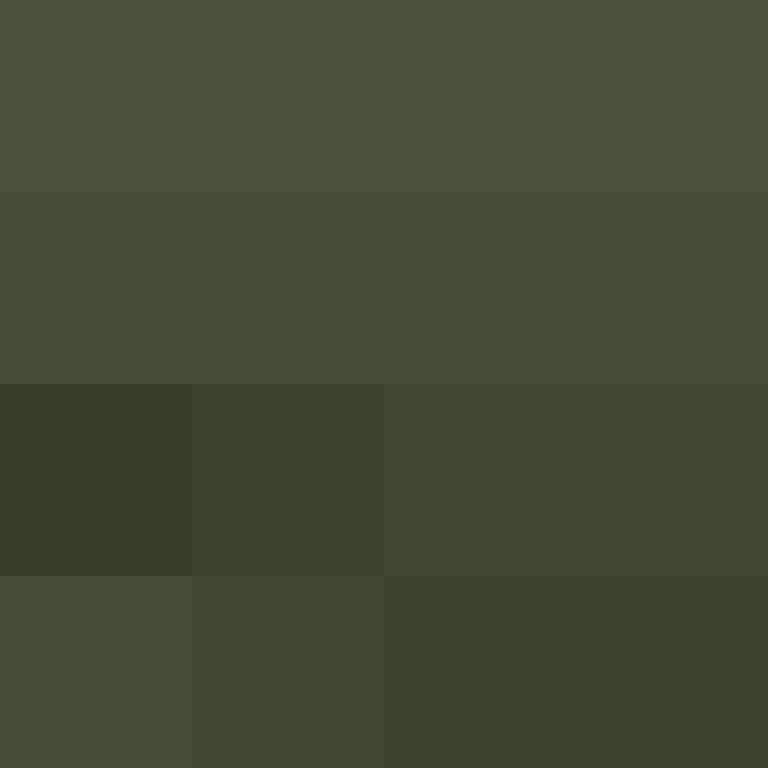 hpyef's skin