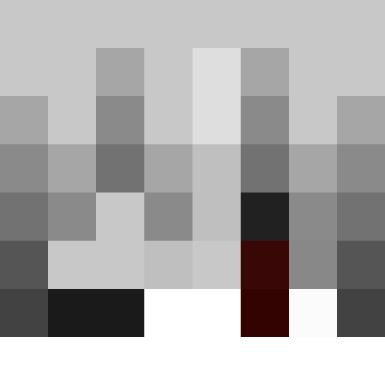 deminecrafterlol's skin