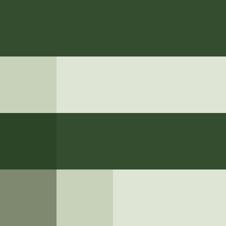 DonaldTrump42's skin
