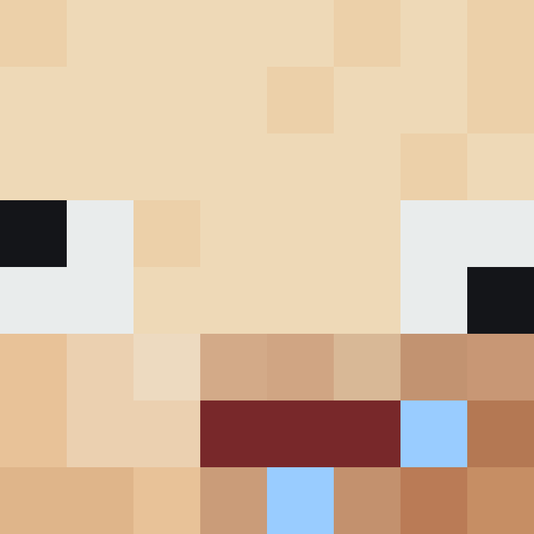 8aca680b22461340's skin