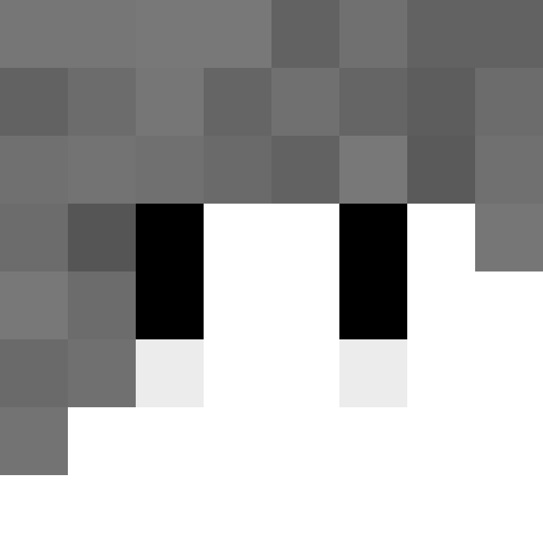 acin5's skin