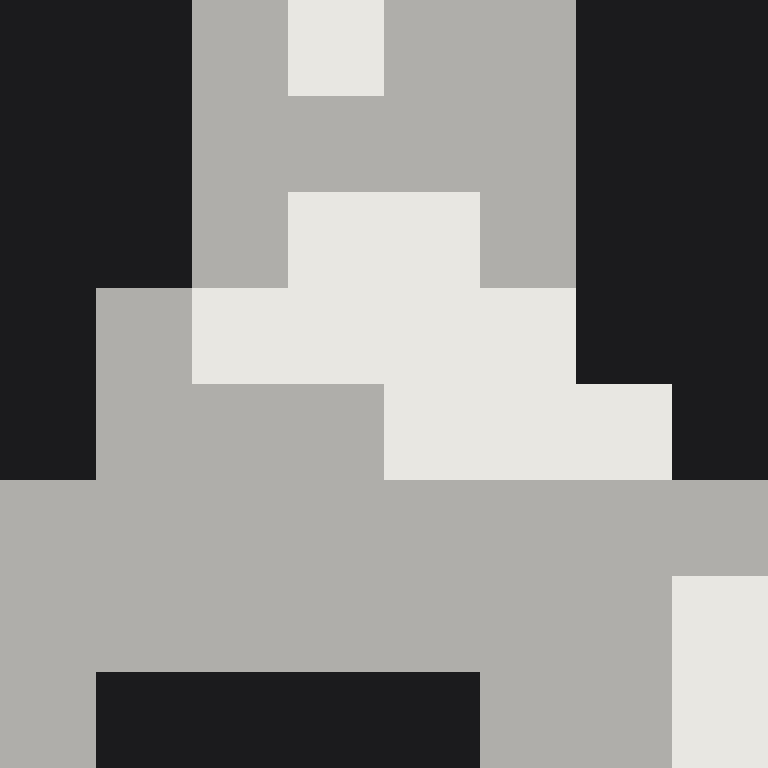 BukkitAPI's skin