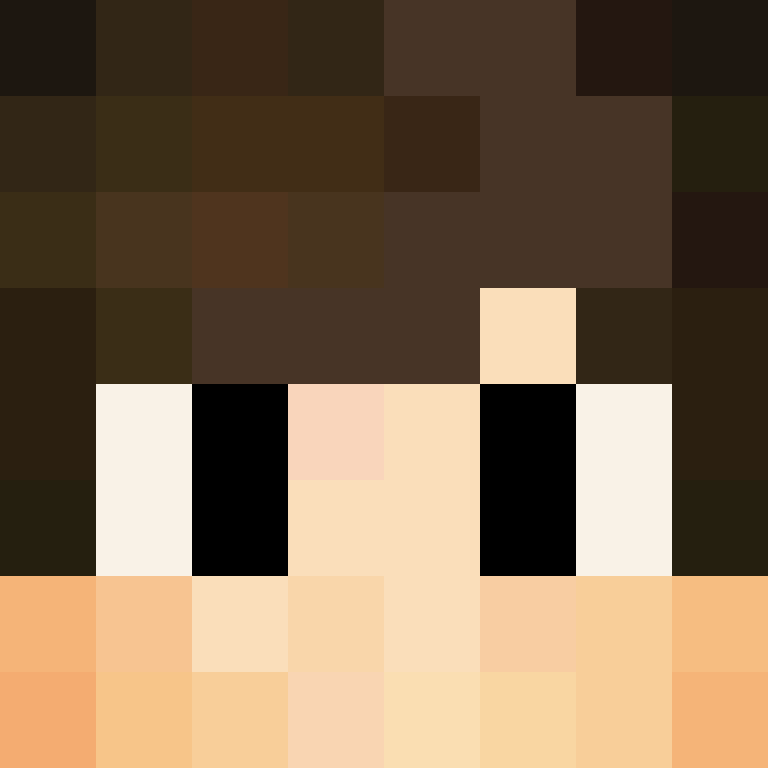 TheCuriousMiner's skin