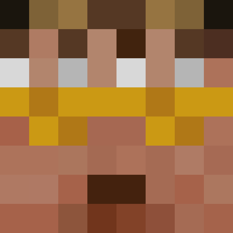 8aca680b22461340's skin