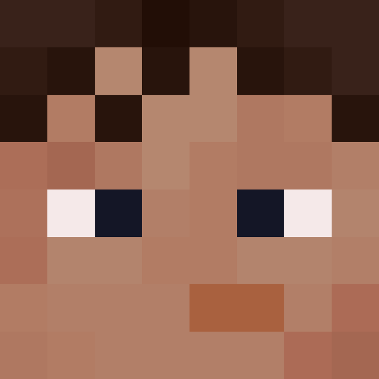 wiredframe's skin