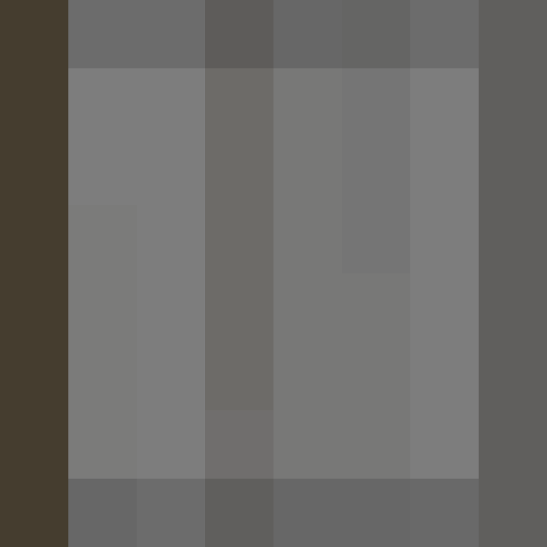 BukkitAPI's skin
