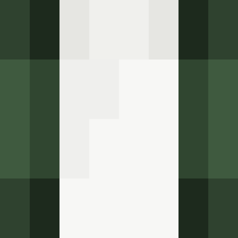 v4r1n's skin