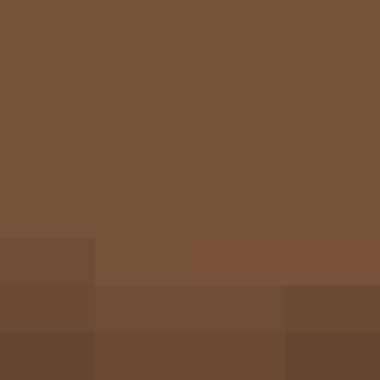 MolesLLC's skin