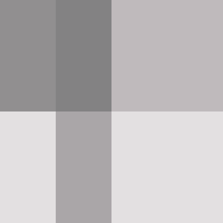 WebNX's skin
